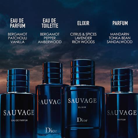 marrionnaud sauvage dior|sauvage dior fragrance.